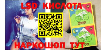 крисы Гай