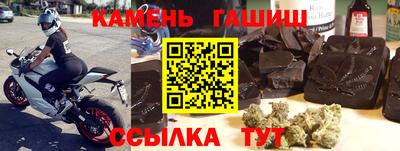 крисы Гай