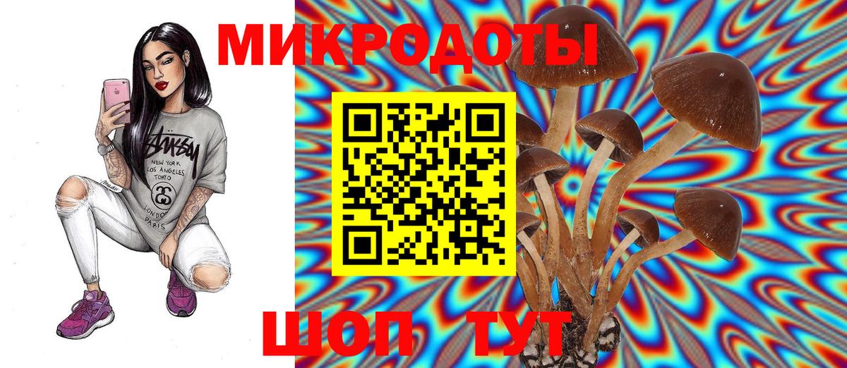 Псилоцибиновые грибы мухоморы Можга