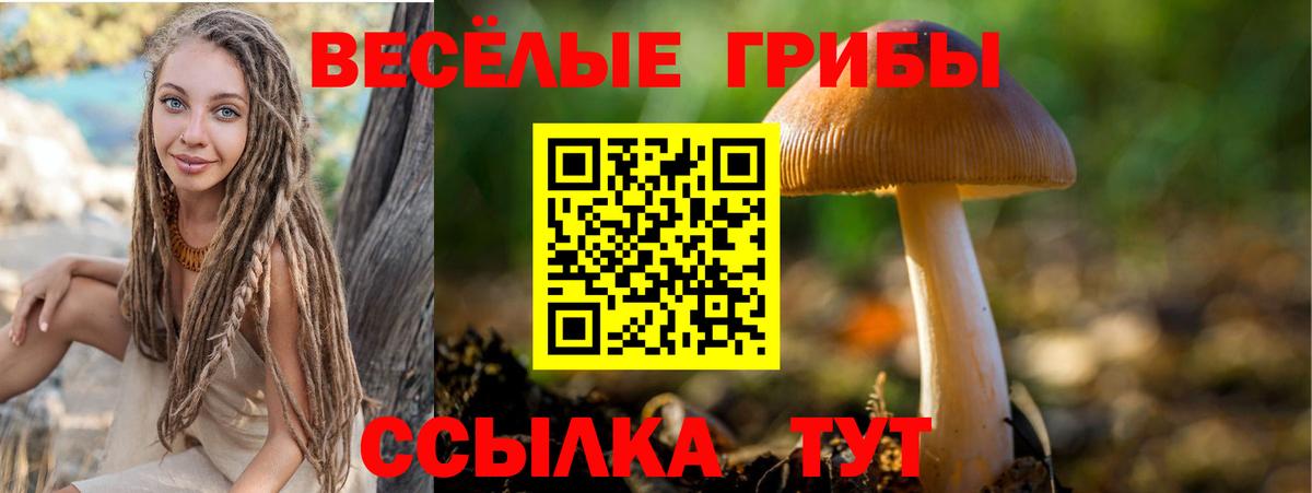 Галлюциногенные грибы Cubensis  купить наркотики сайты  Псилоцибиновые грибы мицелий  Можга  Вход с VPN 